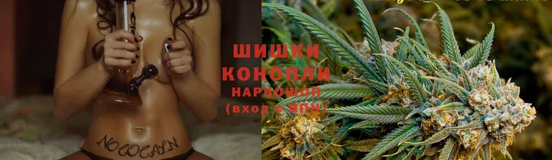 Бошки марихуана White Widow  закладки  Балахна 